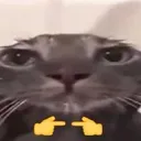cuter2_CatShy