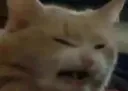 Uncum