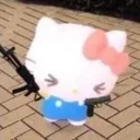 kittygun