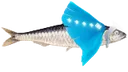 FishySkykid