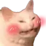 catblush