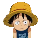 luffy2