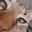 Sniff_Cat