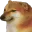 __