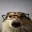 Nerd_Dog