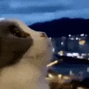 Wowie