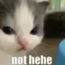 nothehe nothehe