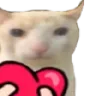 heartCat