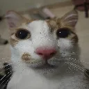 em