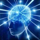 bigbrain