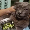 Highcat