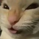 nyehehe