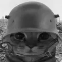 100catstare