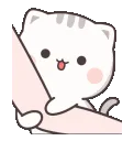 KitCuddle