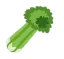 celery