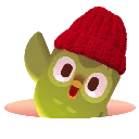 duolingir