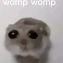 wompwomp