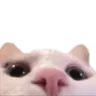 VH_Lurk