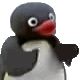 pingu_clap Discord emoji