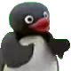 pingu_clap pingu_clap