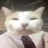 businessasusual