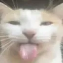 lickballsyum lickballsyum