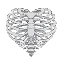 002_ribcage