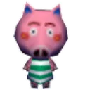 Curly_Stare
