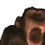 MONKE