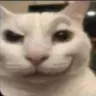 DeviousCat