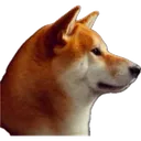 ooosmugmasmugma