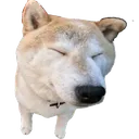 smugbliss
