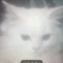 emoji_50