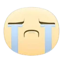 hvn_facebookcry
