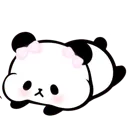 0016_panda