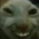 tfisthis