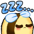BeeSleepy