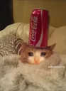 1000010591
