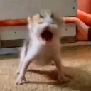 AAAAA AAAAA