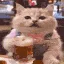catbeer