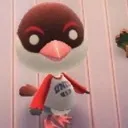 peckneck