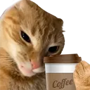 Marshall_Coffee