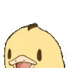DuckYay