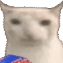 CIcatchipnom