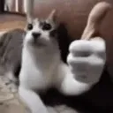 THUMB_CAT