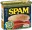 SPAM