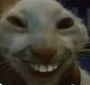 hehe