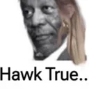 hawktrue
