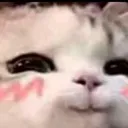 3_