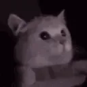 flashbang